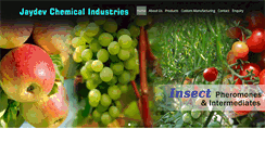 Desktop Screenshot of jaydevchemicals.com